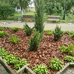 Хвойная мульча в Красноярске купить - оперативная доставка по всей России