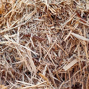 Щепа для арболита оптом в Красноярске и других различных марок заказать от 16 тонн